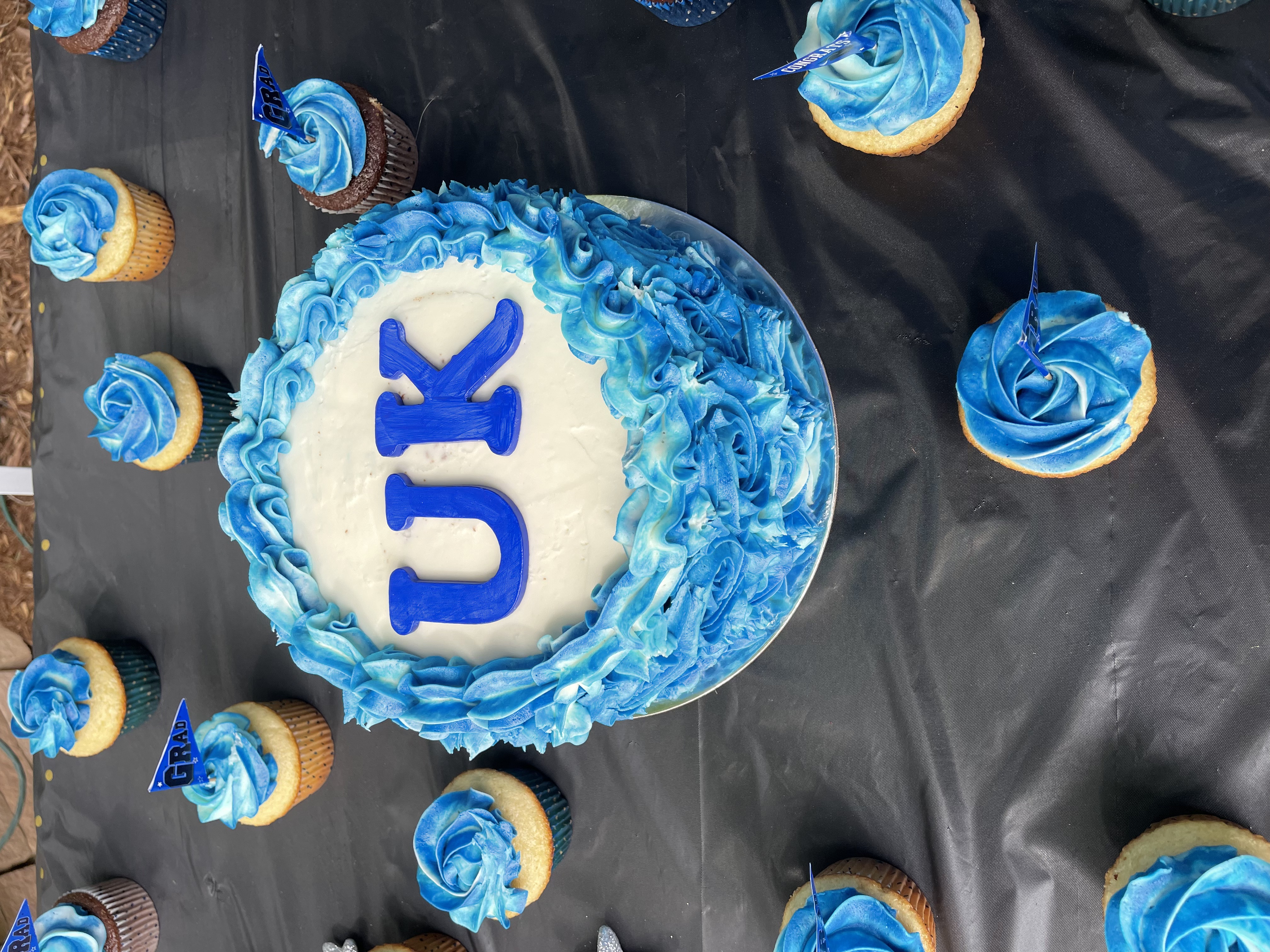 University of Kentucky graduation cake